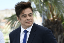 Benicio Del Toro Net Worth