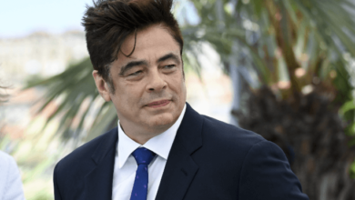 Benicio Del Toro Net Worth