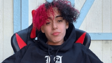 Suigeneris Net Worth