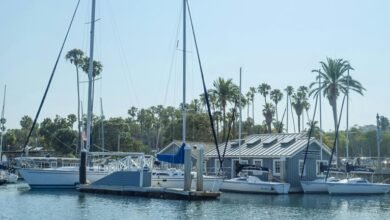 colion noir s financial status