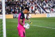 zeddy will s financial value