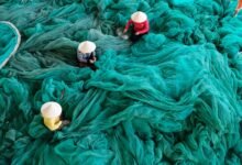 alex kraemer s estimated wealth