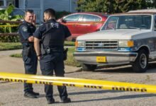 fraud detection hotline numbers