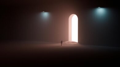 fraud hotline caller numbers