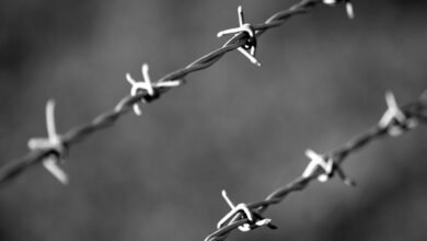 hotline for anomaly reporting