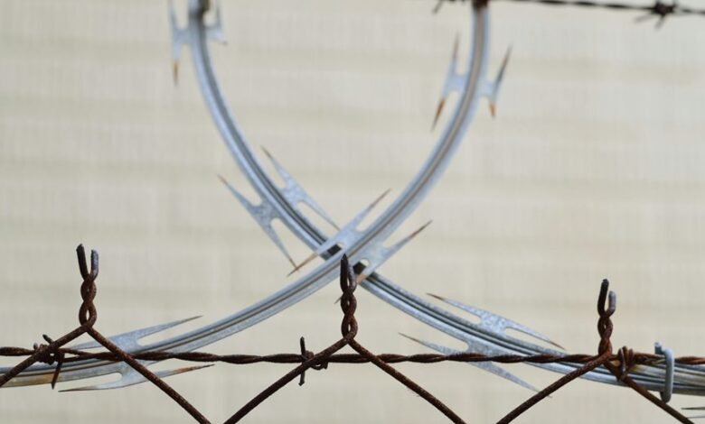 hotline safety division numbers