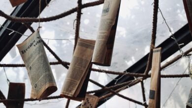 bounce media group news